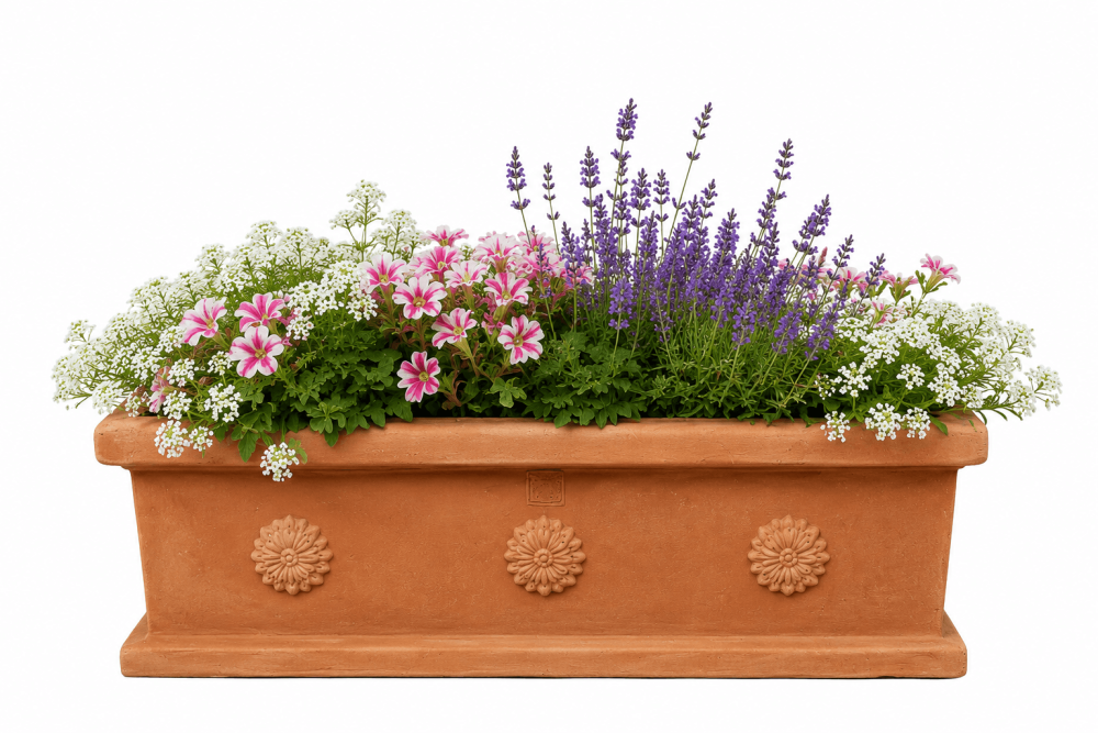 Bac à fleurs Impruneta à rosettes